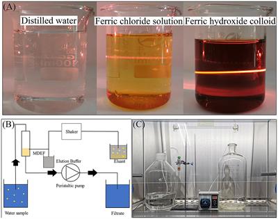 Combination of Fe(OH)3 modified diatomaceous earth and qPCR for the enrichment and detection of African swine fever virus in water